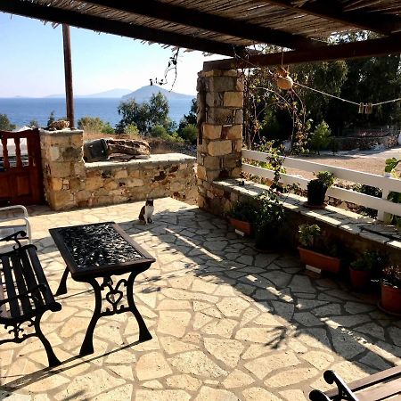 فيلا Chris House Sapsila المظهر الخارجي الصورة